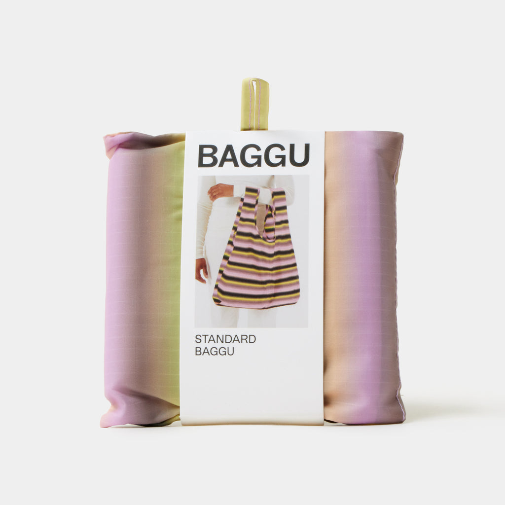 BAGGU STANDARD REUSABLE BAG エコバッグ Standard Baggu Reusable Bag | Wild Hand